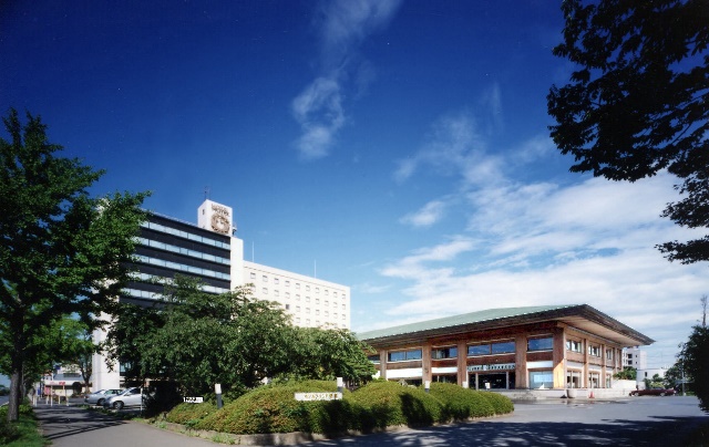 Hotel Grand Shinonome 1
